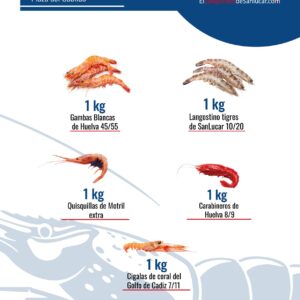 Pack Plaza del Cabildo