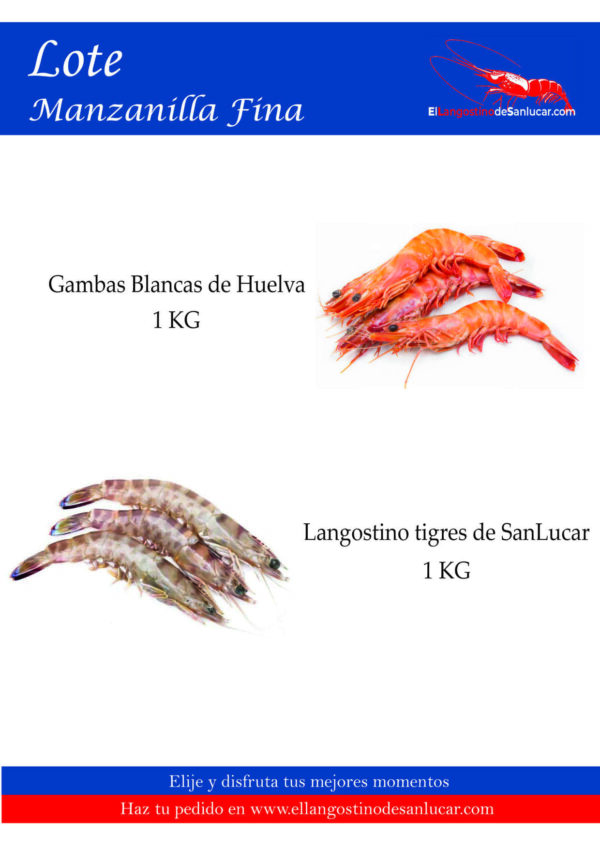 LOTE MANZANILLA FINA