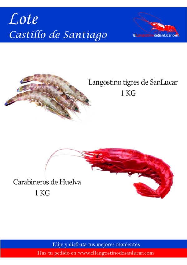 Lote "Castillo de Santiago"